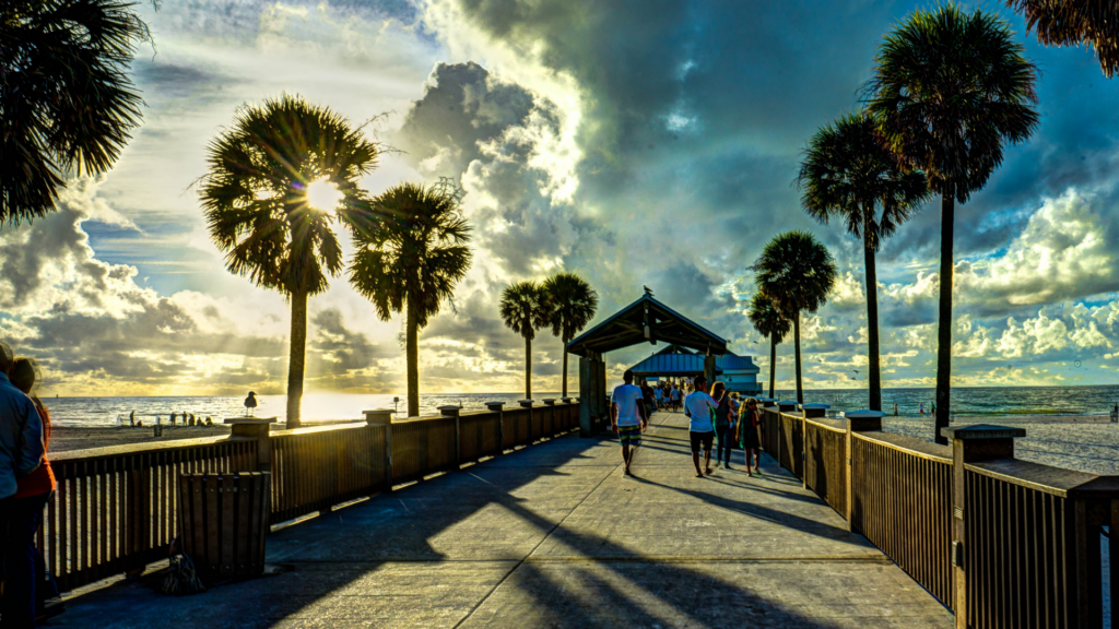 People walking down a dock in tropical Florida, surrounded by palm trees