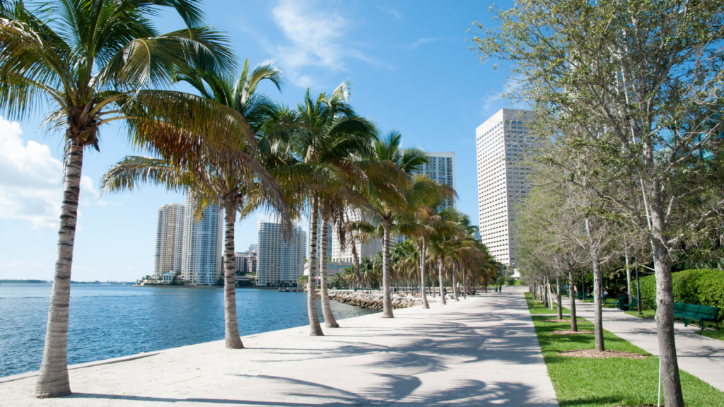 A walkway in Miami, FL, showing the water and city buildings in the background with beautiful palm trees, highlighting the city's dynamic waterfront scene.