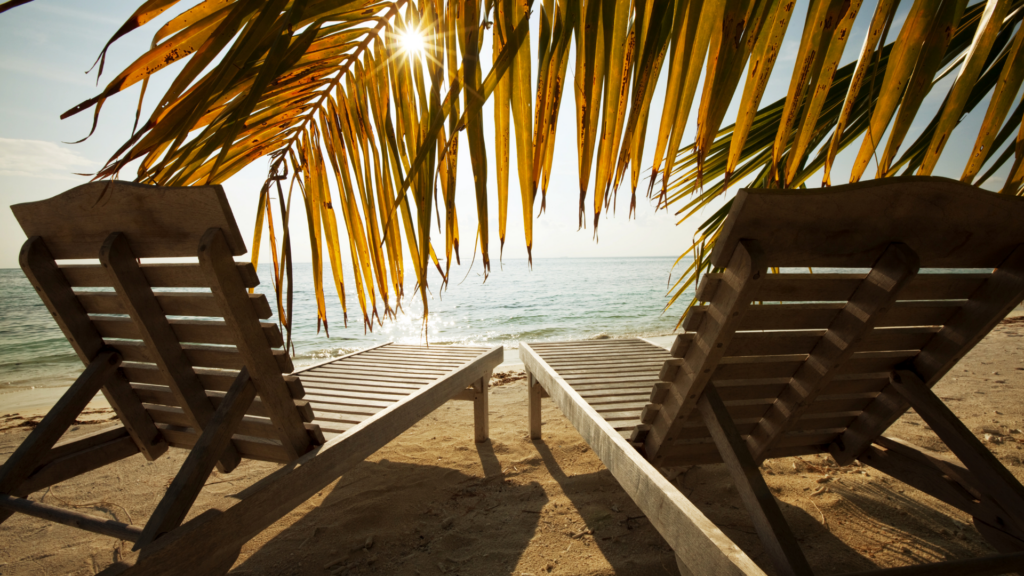 Two empty beach chairs under palm trees on a tranquil Florida beach, with coconuts nearby, inviting relaxation on a tropical vacation.